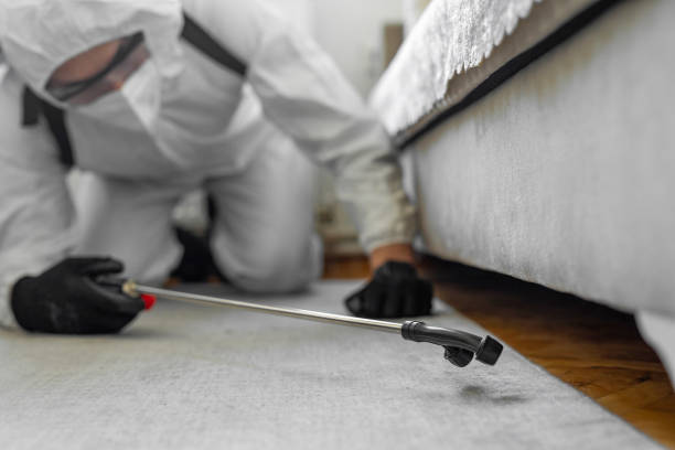 Professional Cockroach Control technician working in Bottineau, ND