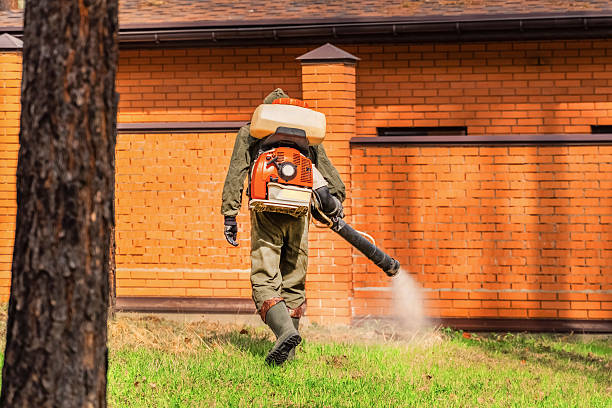 Trusted Fumigation Services service in Bottineau, ND - Nex Pest Control